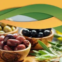 استخدام مسئول فنی با مدرک صنایع غذایی