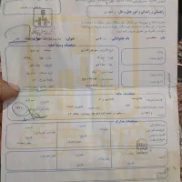 موتور گازی براوو