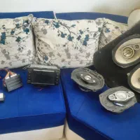 ظبط بانددزدگیر