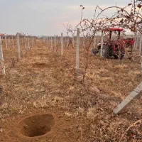 چاله کن چاله کنی انواع نهال تیرچه فنس|خدمات باغبانی و درختکاری|ارومیه, |دیوار