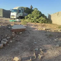 فروش بیده|خدمات باغبانی و درختکاری|فهرج, |دیوار