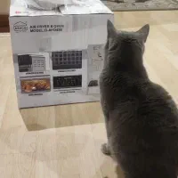 سرخ کن بدون روغن زیر قیمت