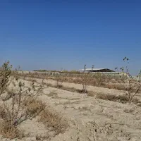 زمین کشاورزی