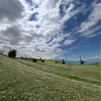 تور اخر هفته (جمعه)