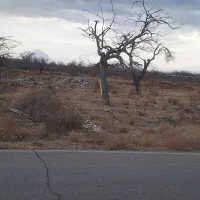 زمین ده|فروش زمین و ملک کلنگی|نیر (یزد), |دیوار