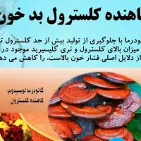 هات چاکلت  گانودرما..اکسیر جوانی|خوردنی و آشامیدنی|شیراز, نشاط|دیوار