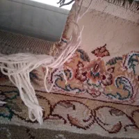 فرش ۱۲متری و ۶متری|فرش|بومهن, |دیوار