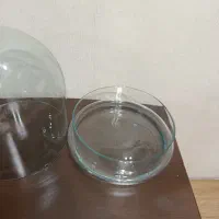 گلدان شیشه ای دردار|صنایع دستی و سایر لوازم تزئینی|تهران, فدک|دیوار