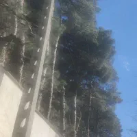 اجاره چهار دیواری از ۱۰۰متر تا ۸۰۰ شهرک ناز خوشنام