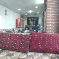 نیروی خانم