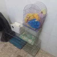 قفس پرنده