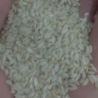 برنج چمپای باغملک خوش عطر