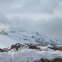 داوطلب ورزش