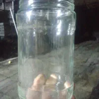 بطری شیشه ای رب