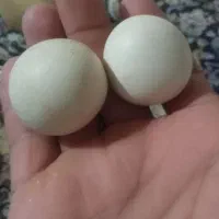 سنگ قیمتی  اصل