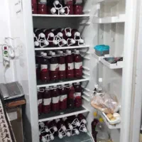 یخچال الکترواستیل|یخچال و فریزر|گرگان, |دیوار