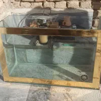 آکواریوم ماهی