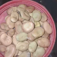 پخله