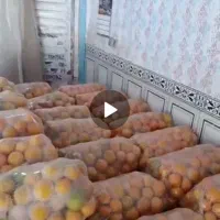 پرتقال شیرین بهترین محل بم|عمدهفروشی|بم, |دیوار