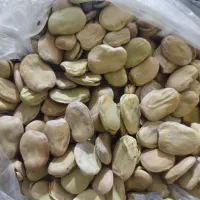 باقله|خوردنی و آشامیدنی|دینور, |دیوار