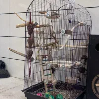 قفس بزرگ پرنده|لوازم جانبی حیوانات|خوی, |دیوار