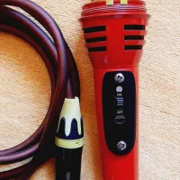 میکروفون|آلات موسیقی|الیگودرز, |دیوار