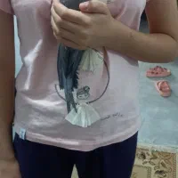 پرنده ملنگو و عروس هلندی|پرنده|رودبار, |دیوار