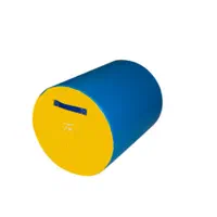 استوانه ژیمناستیک