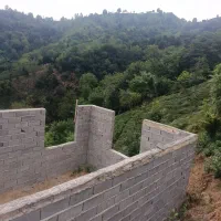 زمین باغی