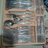 فاشق و جنگل استیل اصل نو نو۲۴تایی هستند