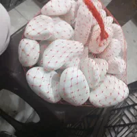 سنگ رودخانه ای|گل و گیاه طبیعی|تهران, تجریش|دیوار