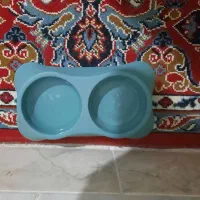 گربه|گربه|تربت‌حیدریه, سرمحله|دیوار