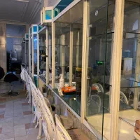 ویترین