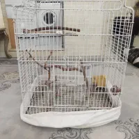 قفس کاسکو فروشی