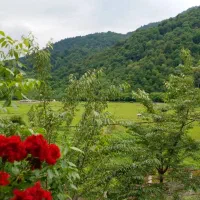 ویلاروستای جنگلی ‌مسیرالسبلنگاه ماسال از‌۱۷ ام|اجارهٔ کوتاه‌مدت ویلا و باغ|رشت, عینک|دیوار