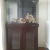 آکواریوم شیشه خم کمد دار