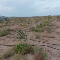 فروش زمین باغی|فروش زمین و ملک کلنگی|شاهین‌شهر, فرودگاه هسا|دیوار