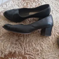 کفش|کیف، کفش، کمربند|بیرجند, |دیوار