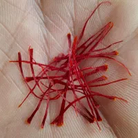 زعفران سوپرنگین اتویی|خوردنی و آشامیدنی|نیشابور, شهرک بهارستان|دیوار