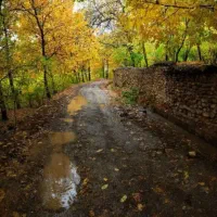 اجاره آپارتمان خیابان امام حسین ۲۲