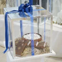 باکس شیشه ای|خدمات پذیرایی، مراسم|کرمان, |دیوار