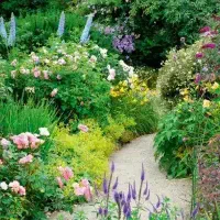 انجام کارهای باغبانی