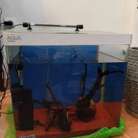 اکواریوم شرکتی