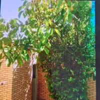 ۱۱۰متر ویلایی/۲خ/ خ پروین/درب حیاط ماشین رو فوری|فروش خانه و ویلا|اصفهان, فجر|دیوار