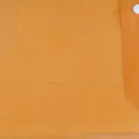 یک پوشه نارنجی پیدا شده