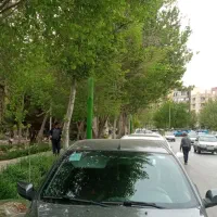 ساینا ۹۷ بی رنگ