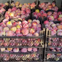 آلو|خوردنی و آشامیدنی|اصفهان, آزادان|دیوار