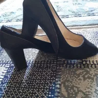 کفش مجلسی در حد نوع
