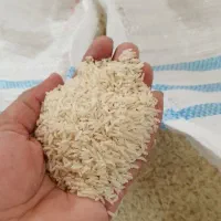 برنج طارم هاشمی کشت دوم|خوردنی و آشامیدنی|سرخرود, |دیوار