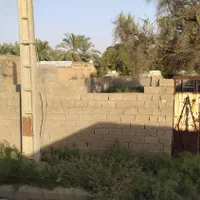 فروش ۵۰۰ متری باغ ویلادرملاثانی|فروش دفتر صنعتی، کشاورزی، تجاری|اهواز, کوروش|دیوار